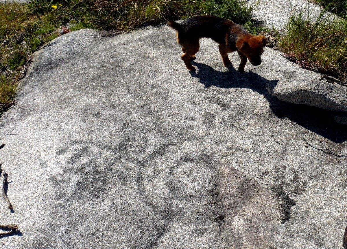 Petroglifo de Loural, en Verducido