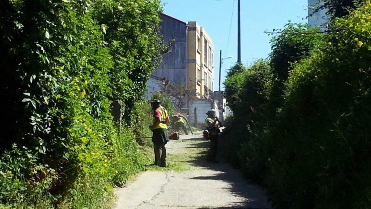 Trabajadores de la Fundación Juan XXIII desbrozando un camino en Marín