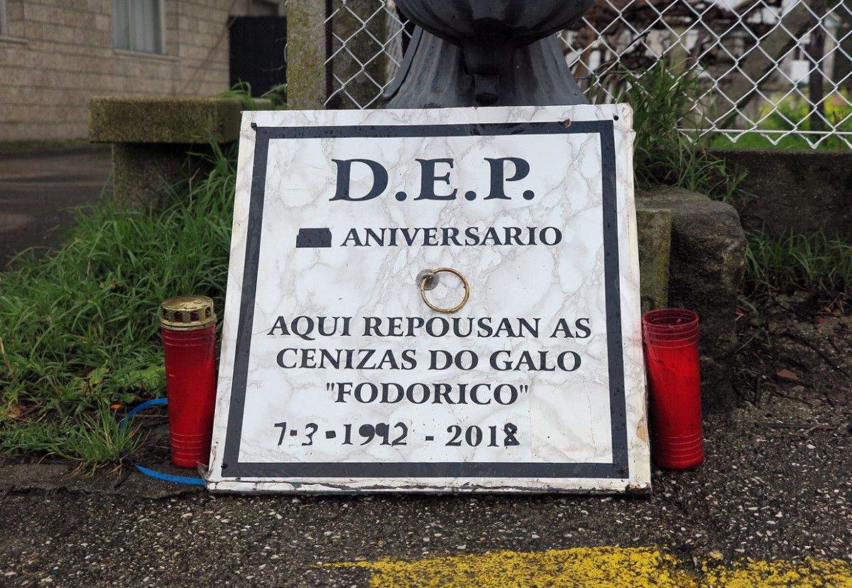 Lembranza do Galo Fodorico