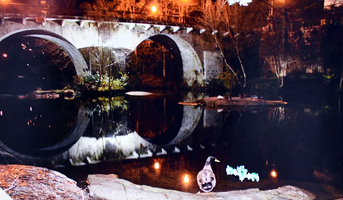 Fotografía premiada en el concurso de la Festa da Troita