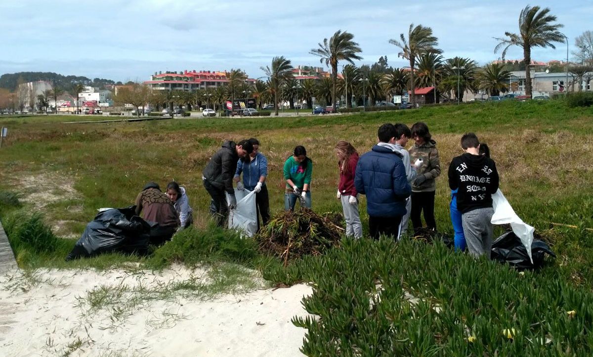 Retirada de plantas invasoras en Baltar