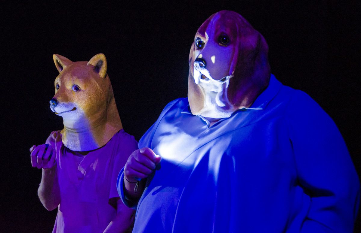 "Señora que pasea pola rúa con dous cans preciosos", de Matrioshka Teatro "Señora que pasea pola rúa con dous cans preciosos", de Matrioshka Teatro