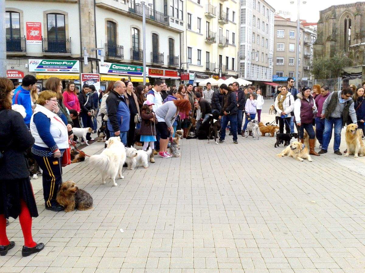 Protesta de 'Por un parque digno para perros'