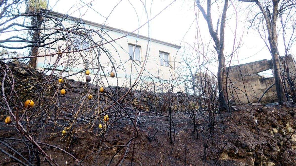 Terreo queimado preto dunha vivenda