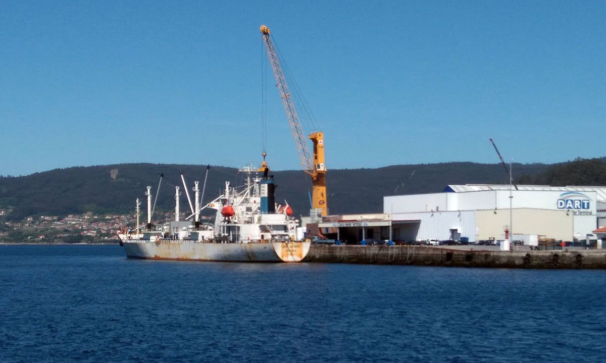 Descarga de pesca conxelada no porto de Marín