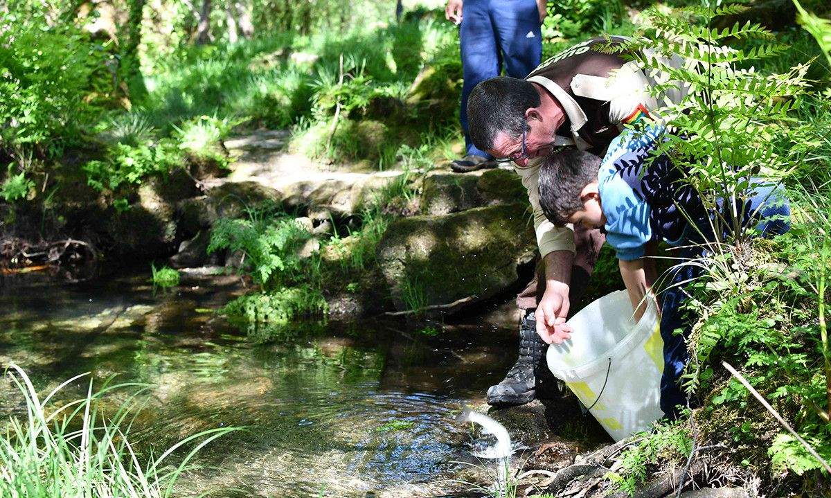 Solta de troitas no río Verdugo