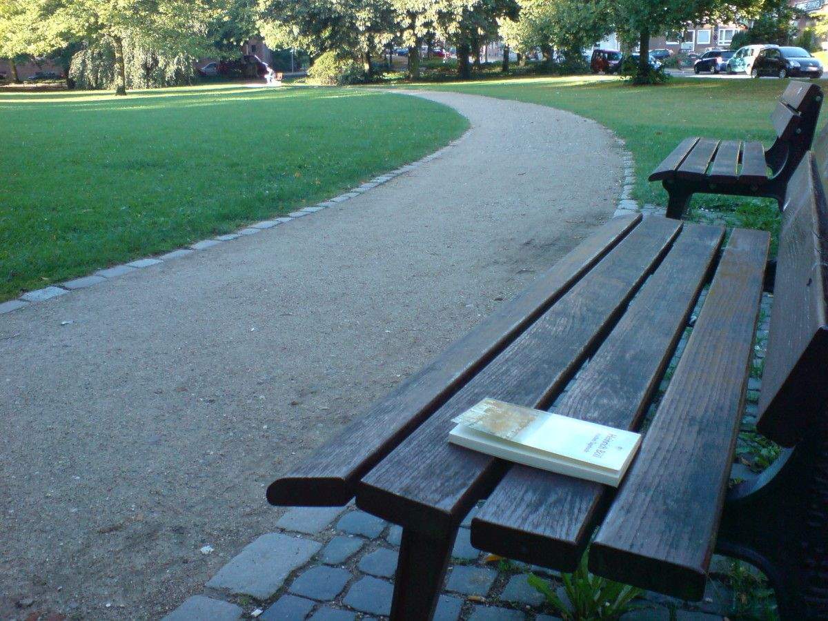 Libro en un banco