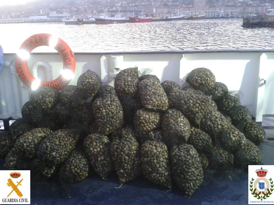 Marisco comisado por la Guardia Civil