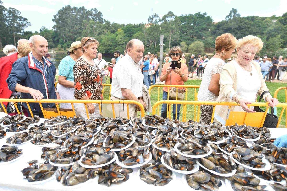 Romería popular en los salones del Lérez para celebrar el San Benitiño