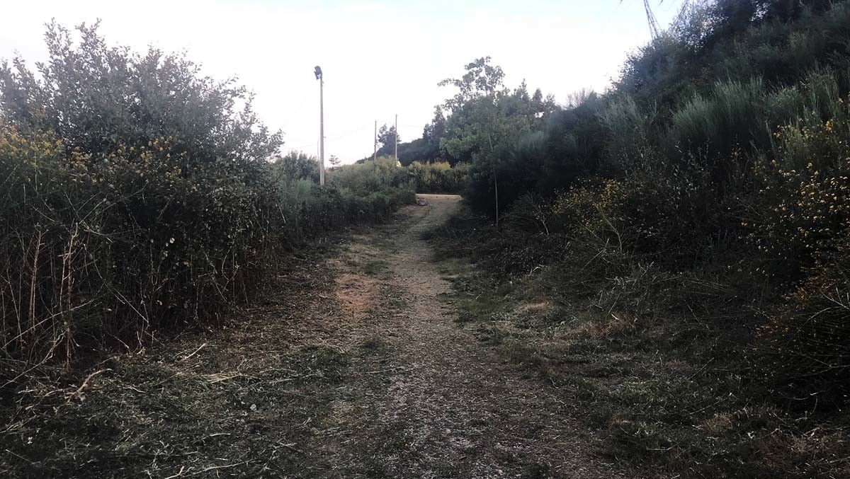 Pista en el parque forestal de Verducido