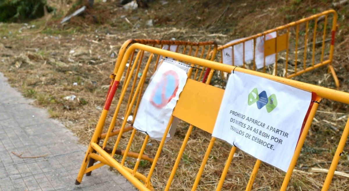 Roza na zona dos antigos terreos de Tafisa