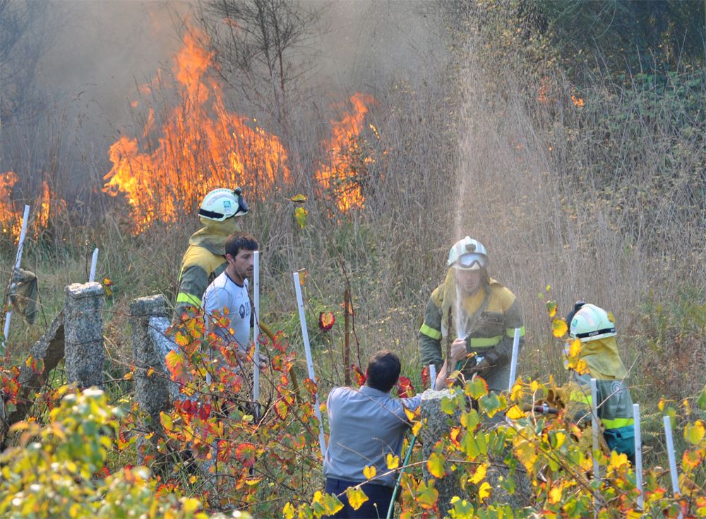 Incendio forestal