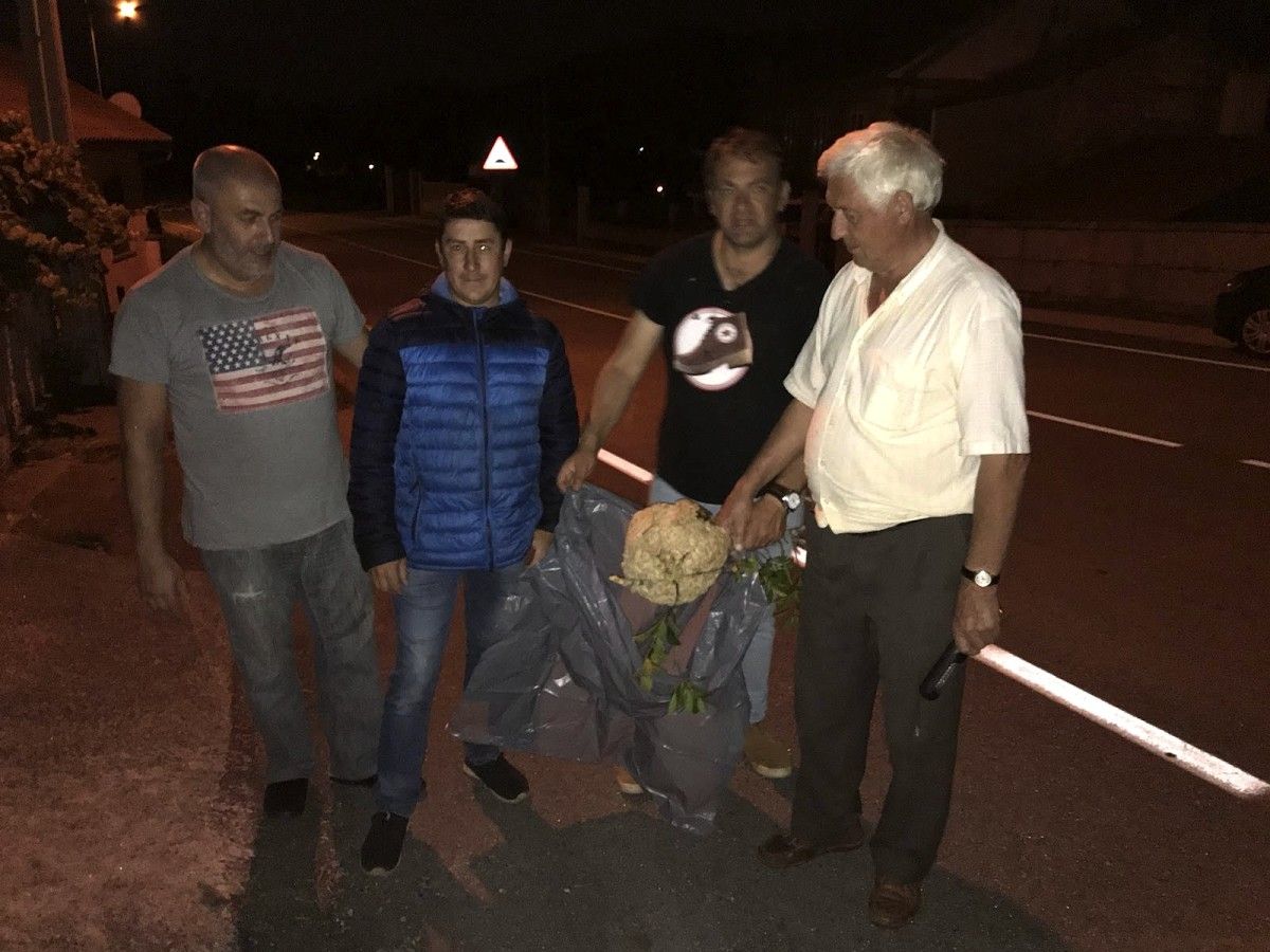Nido de avispa velutina retirado en Barro Nido de avispa velutina retirado en Barro