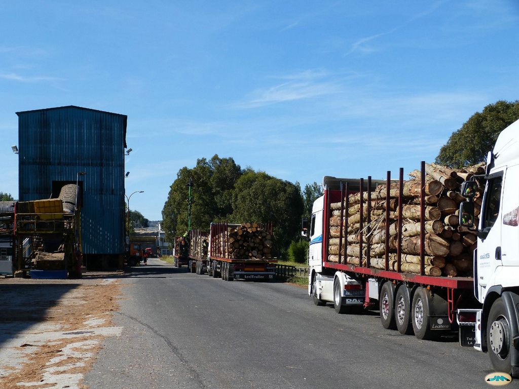 Transportistas de madeira nas instalacións de ENCE