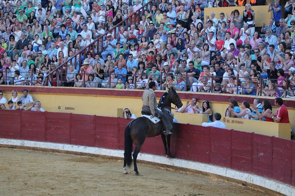 Imagen del espectáculo 'Así bailan los caballos españoles'