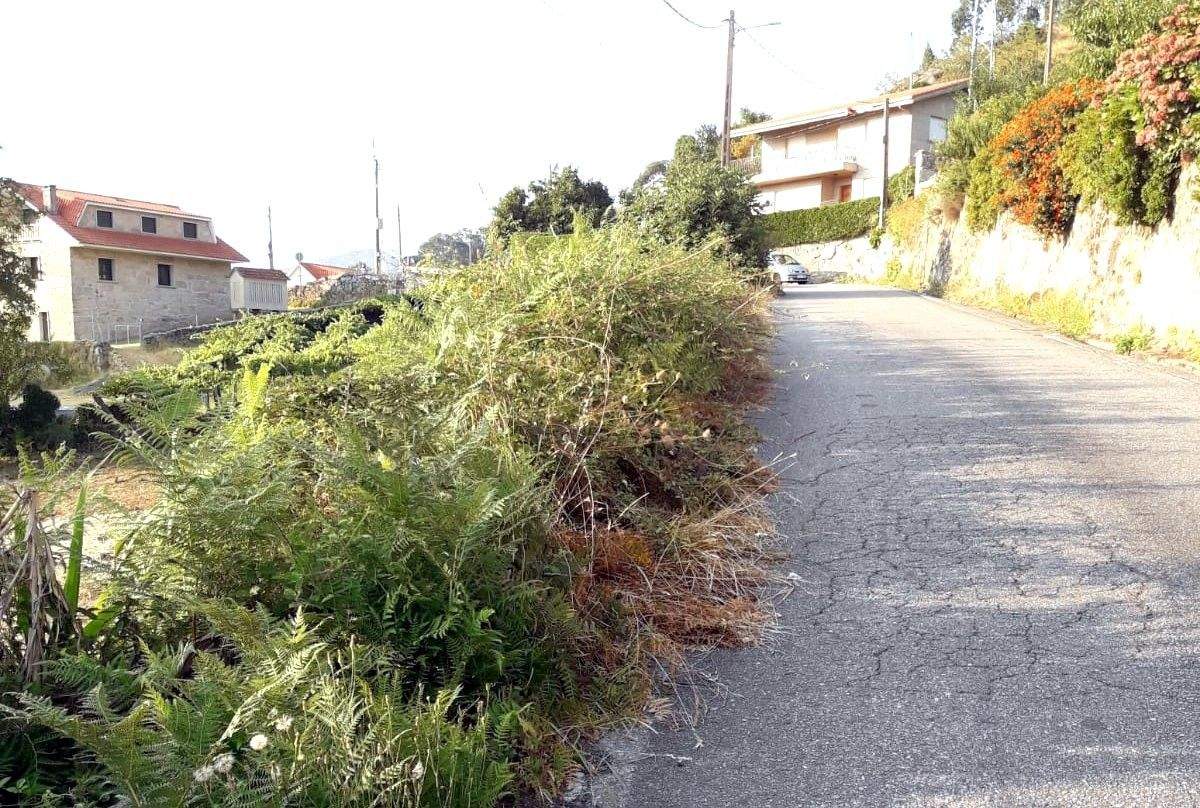 Maleza en las cunetas de Ponte Sampaio