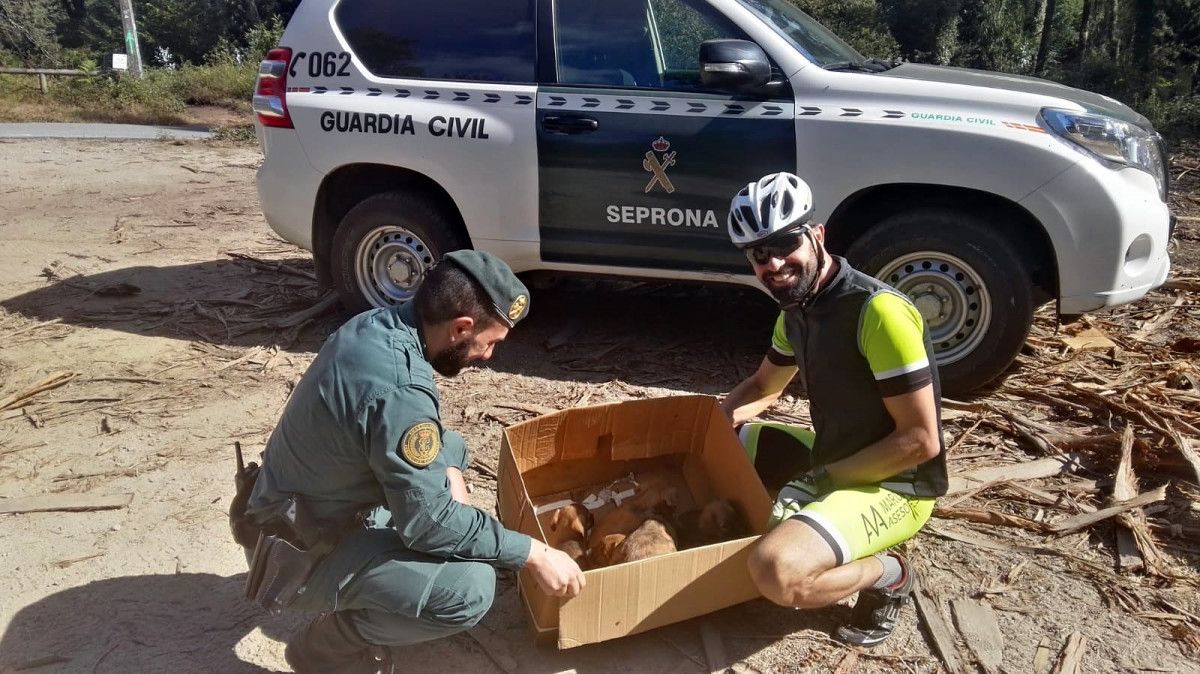 Un grupo de ciclistas encontró una caja de cartón con cachorros de perro en Castiñeiras