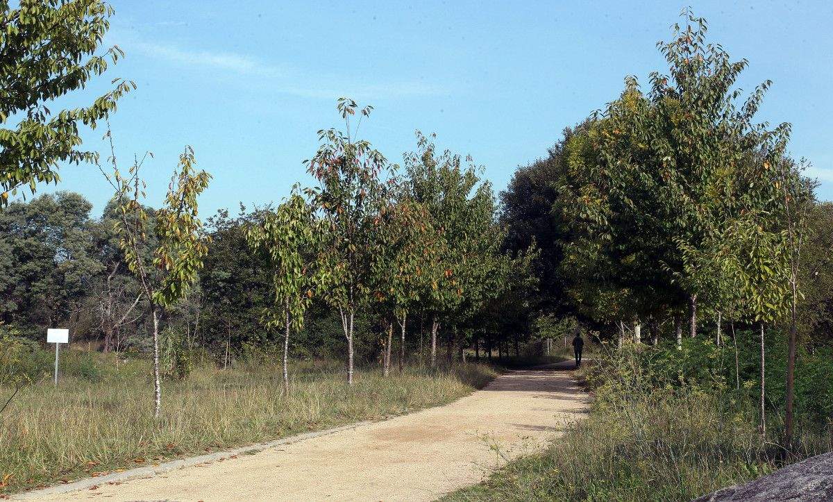 Xunqueira de Alba