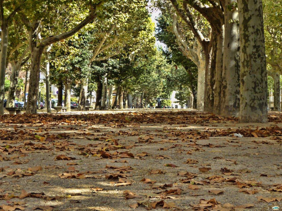 Día de outono na Alameda de Pontevedra