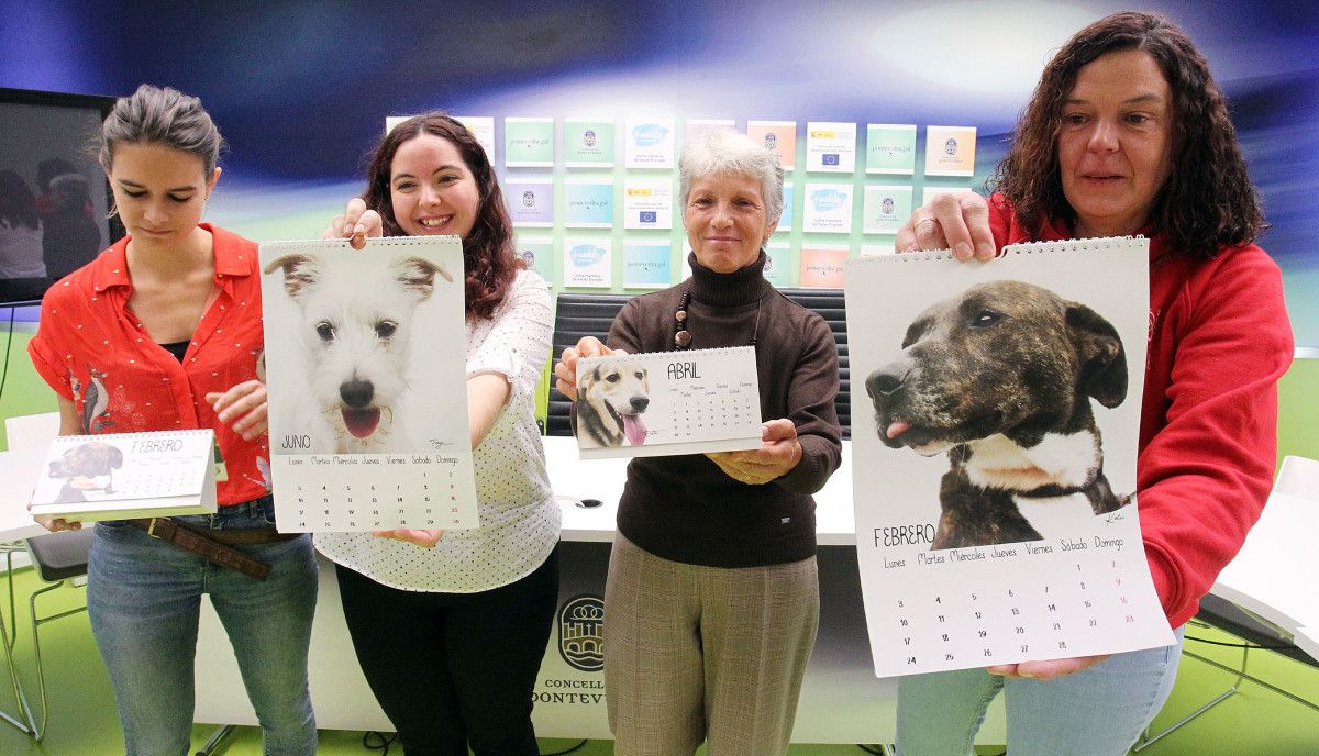 Presentación do calendario de Os Palleiros