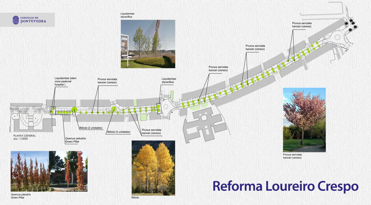 Proyecto de reforma integral de Loureiro Crespo