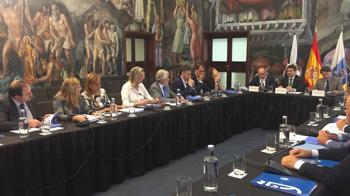 Carmela Silva, presidenta de la Deputación, asiste a la comisión de Diputaciones de la FEMP