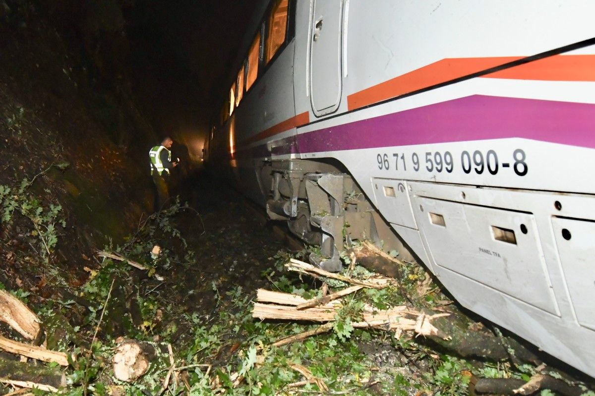 Choque de un tren contra un árbol en Barro