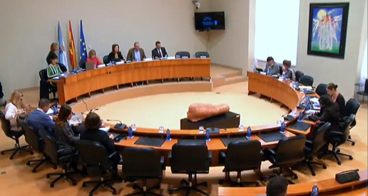 Comisión parlamentaria de Sanidade