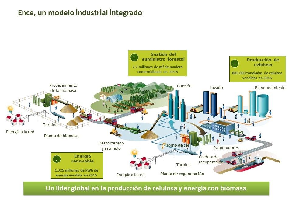 O modelo industrial integrado de Ence