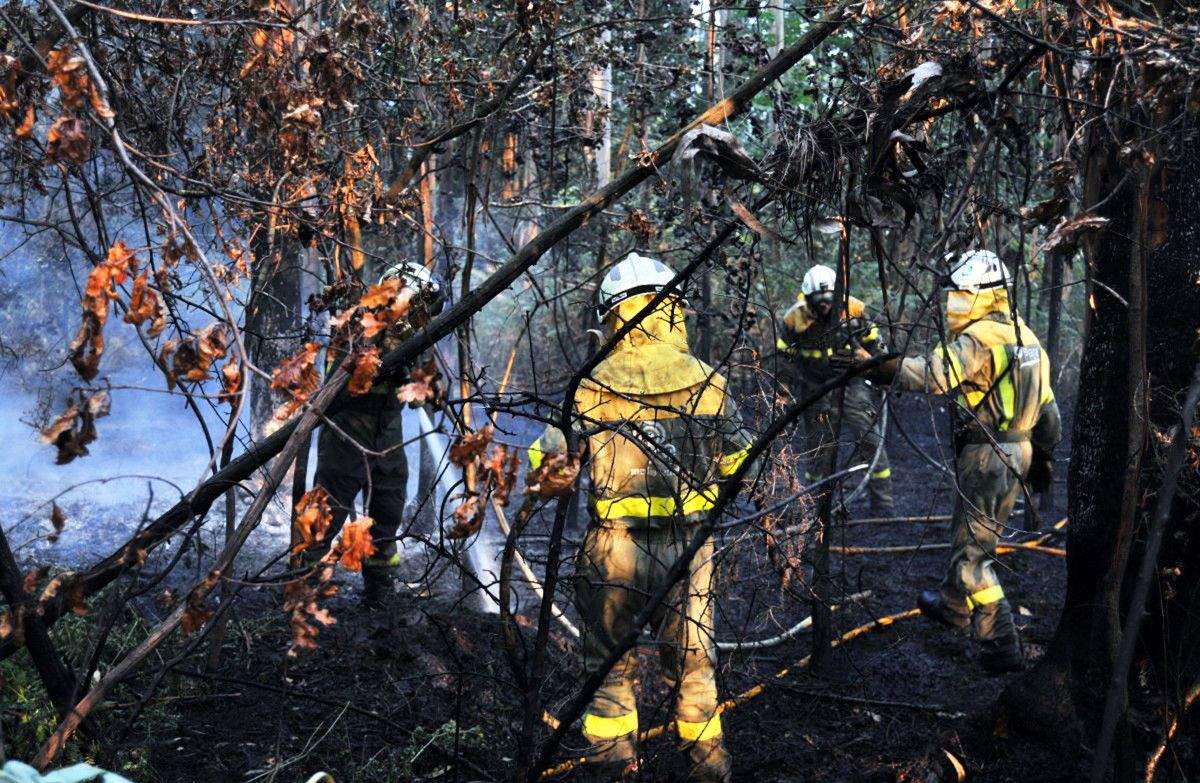 Brigadas traballando na extinción dun incendio forestal