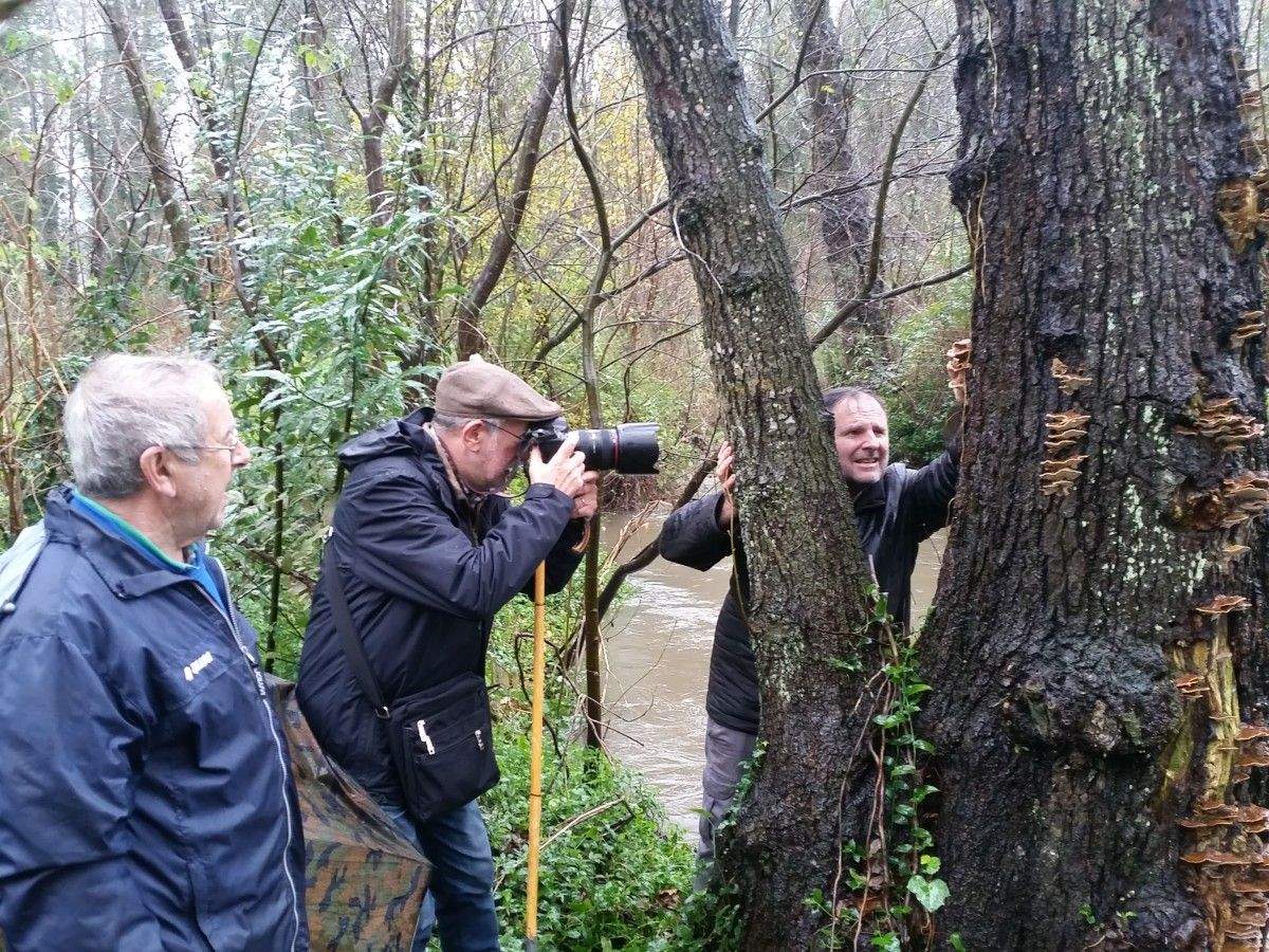 Salida micológica por el río Gafos