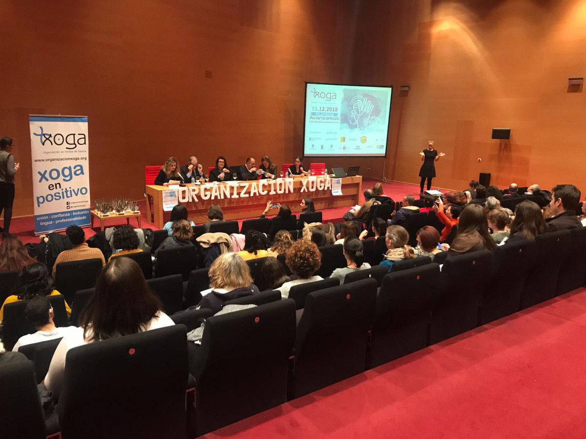 Segunda Jornada de Diversidad Sensorial 'Xuntos avanzamos'  en el Pazo da Cultura