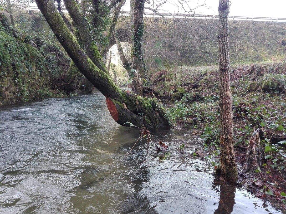Limpeza da contorna da Ponte Malvar, en Cerponzóns