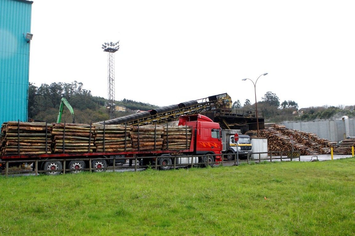 Transporte de madeira á fábrica de ENCE
