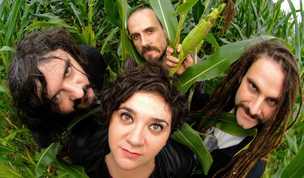 Zea Mays