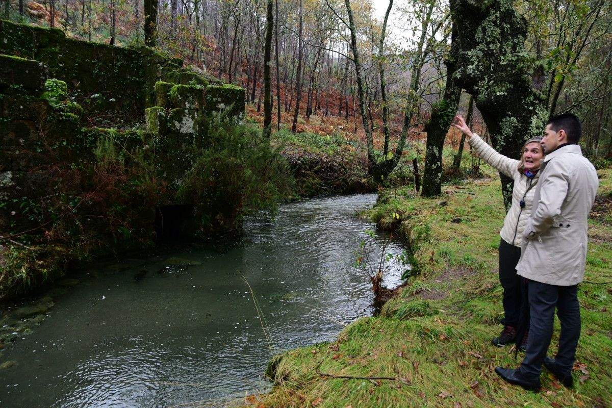 O alcalde Andrés Díaz visita os terreos do que pode ser o primeiro Parque Forestal de Ponte Caldelas