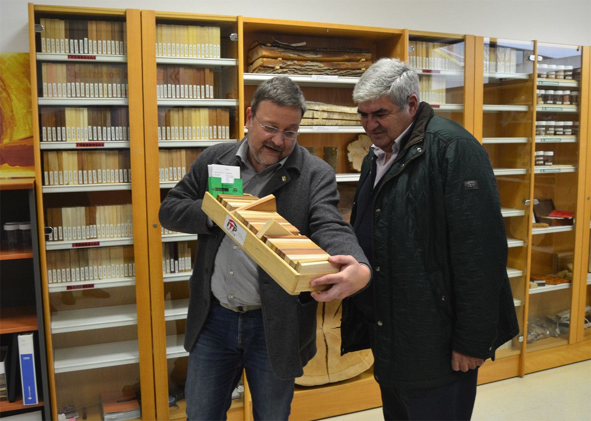 Xiloteca da Escola de Enxeñaría Forestal