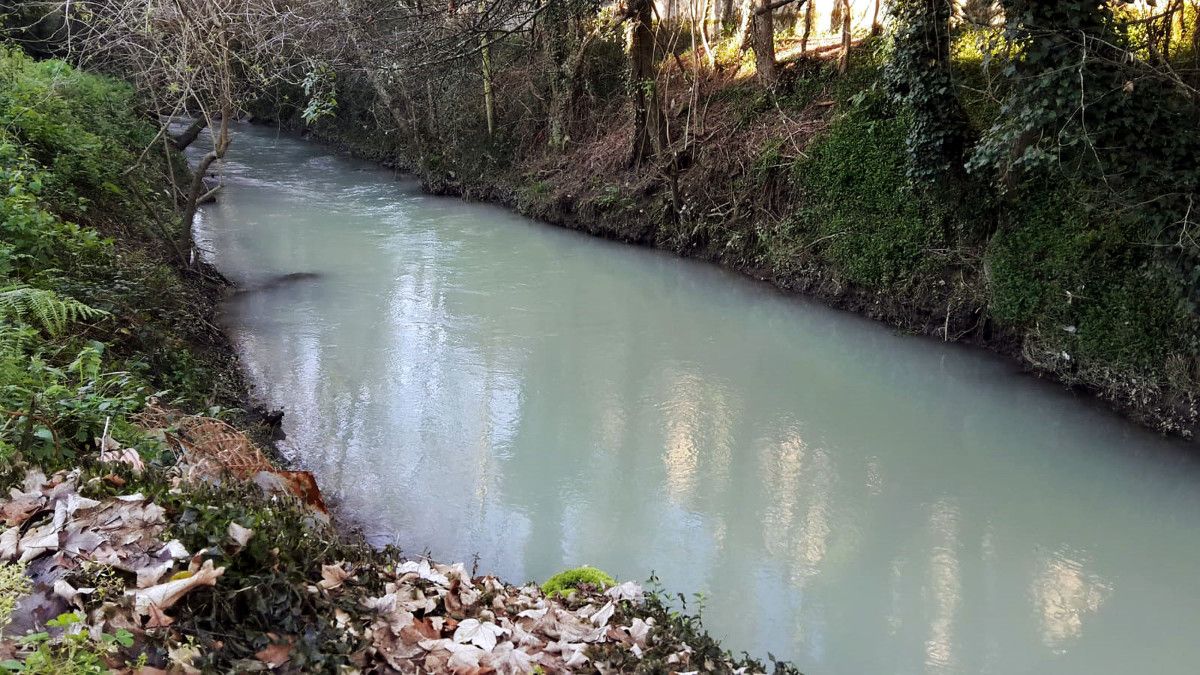Vertido en el río Pintos, afluente de Os Gafos