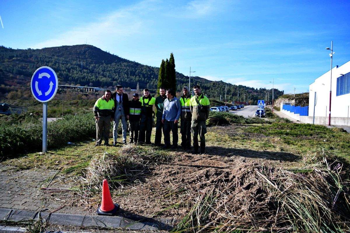 El Concello contrata a la Fundación Juan XXIII para la tala y limpieza de la  broza del polígono de A Reigosa