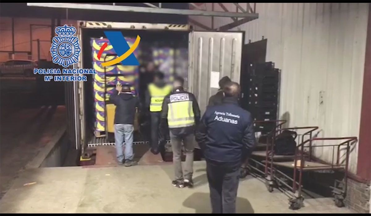 Bananas entre as que se escondía a droga
