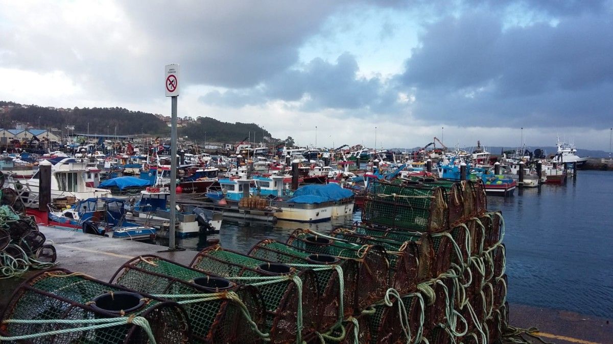 Barcos amarrados no porto de Bueu