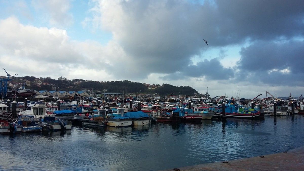 Barcos amarrados en el puerto de Bueu