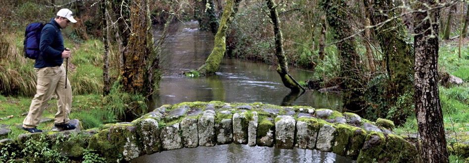 Camino Portugués
