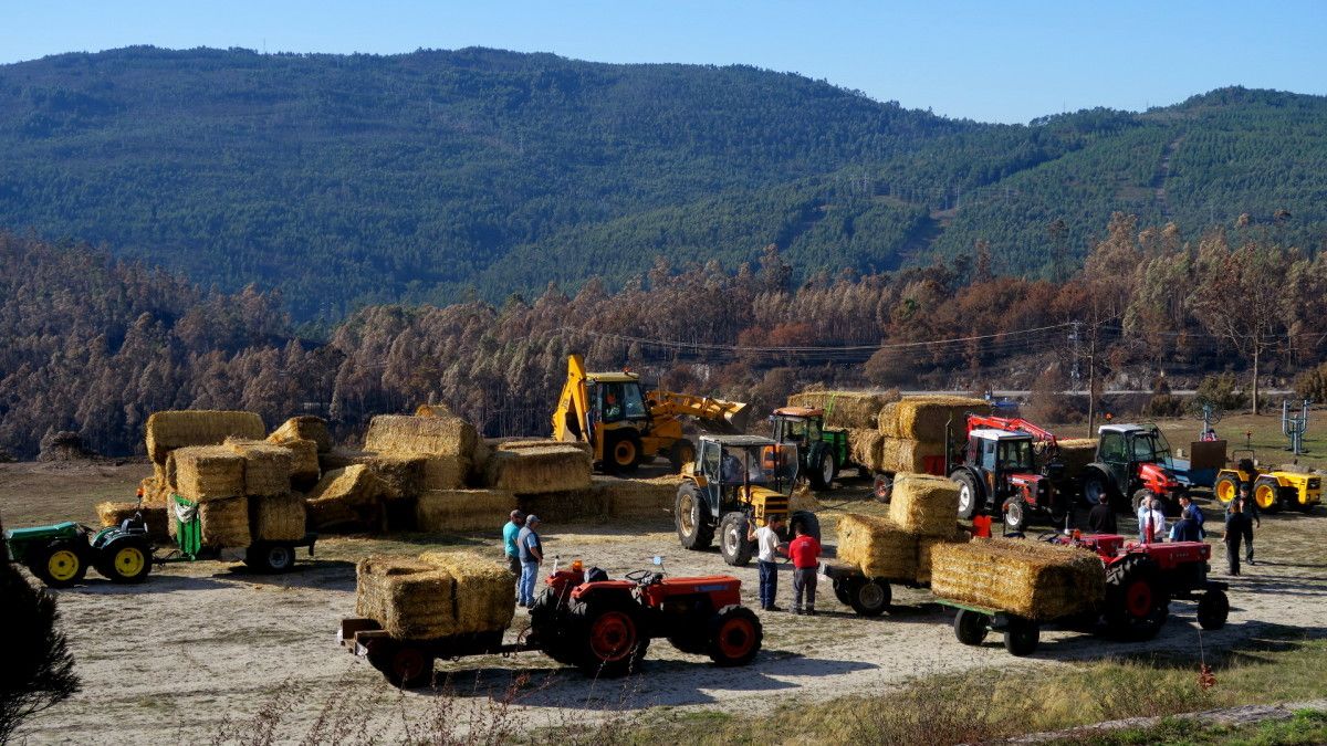 Tractores repartindo palla nos montes de Ponte Caldelas afectados polos incendios
