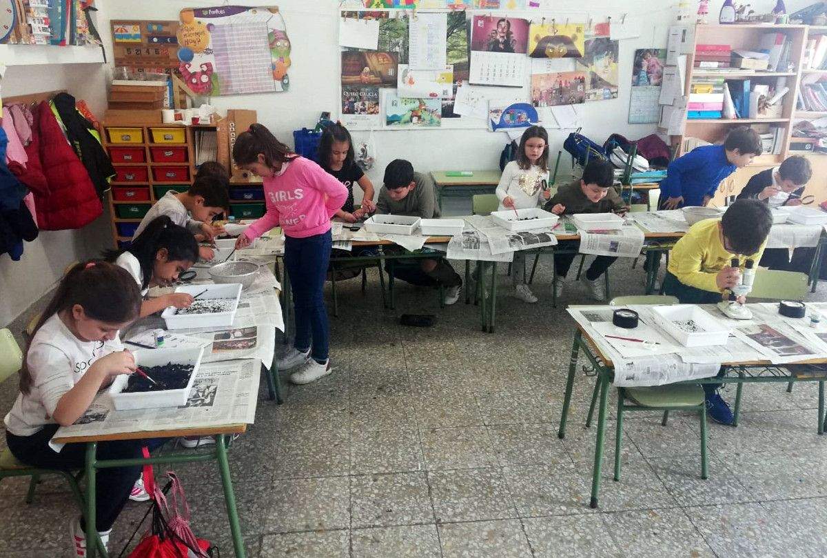 Obradoiro de compostaxe no CEIP Xunqueira I