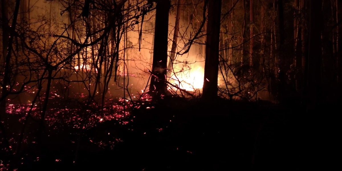 Tareas de extinción en el incendio de Cuntis