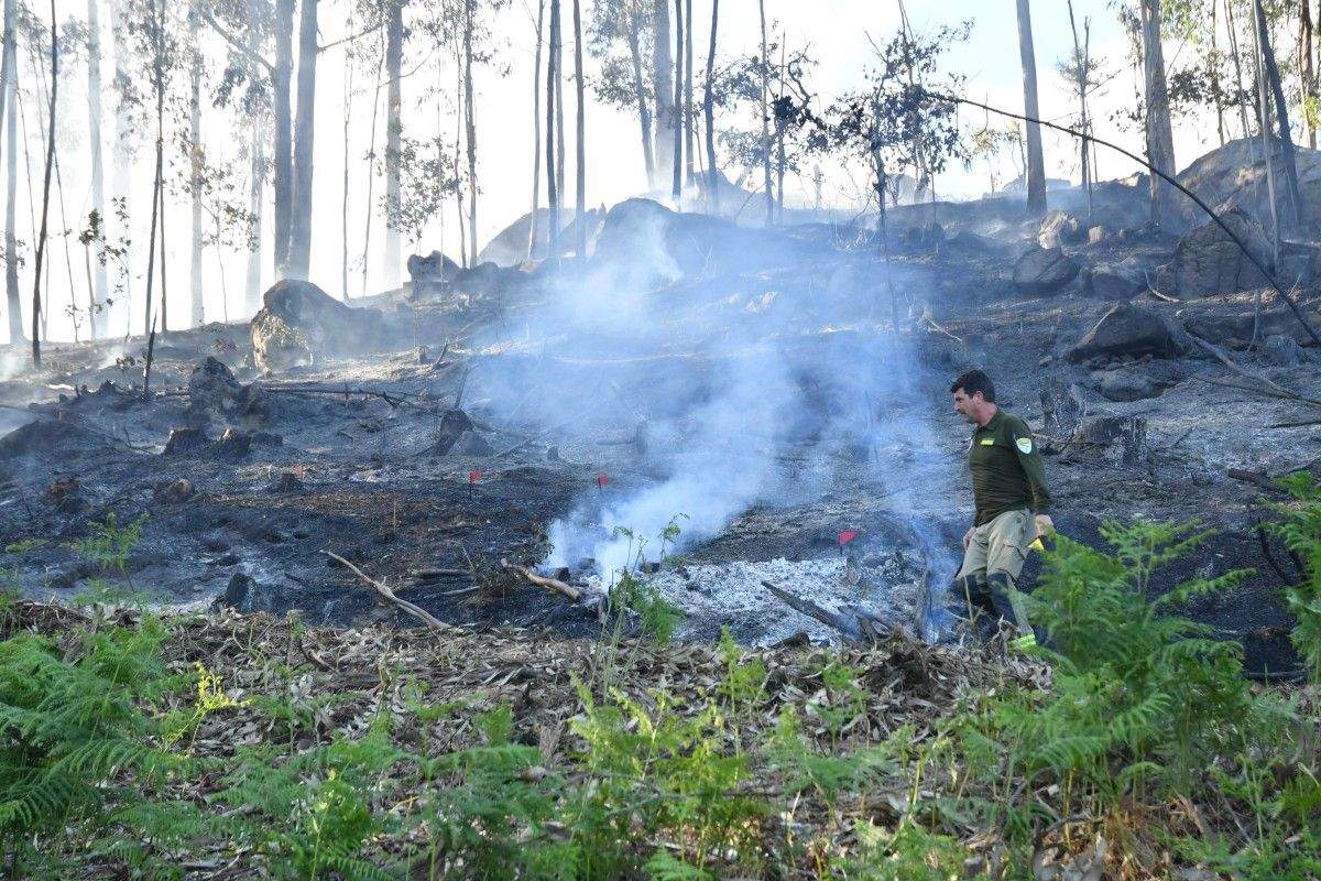 Incendio forestal moi próximo a unha vivendas en Vilaboa