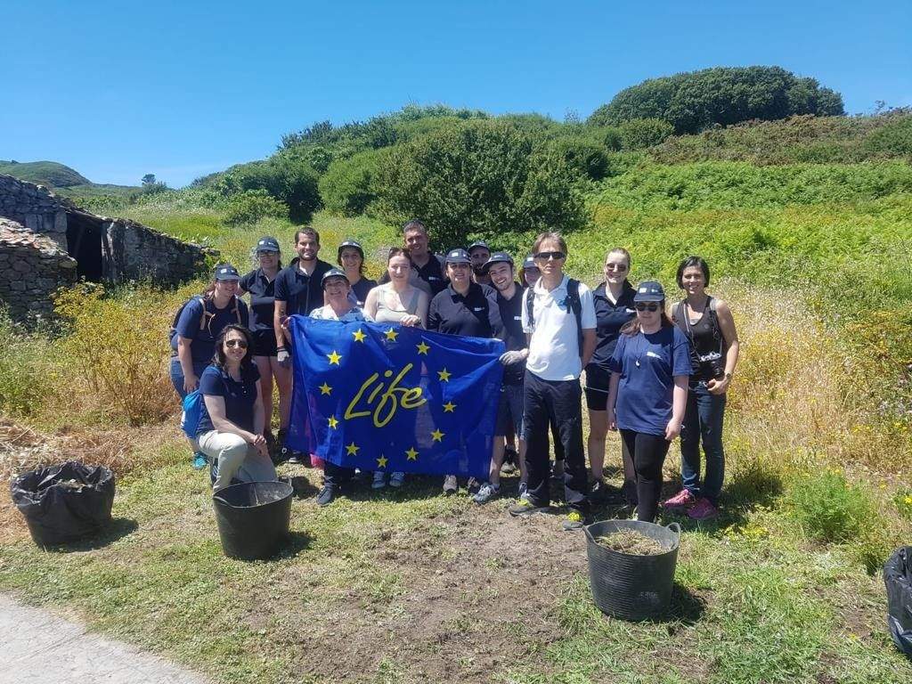 Voluntarios retiran especies invasoras de la Illa de Ons