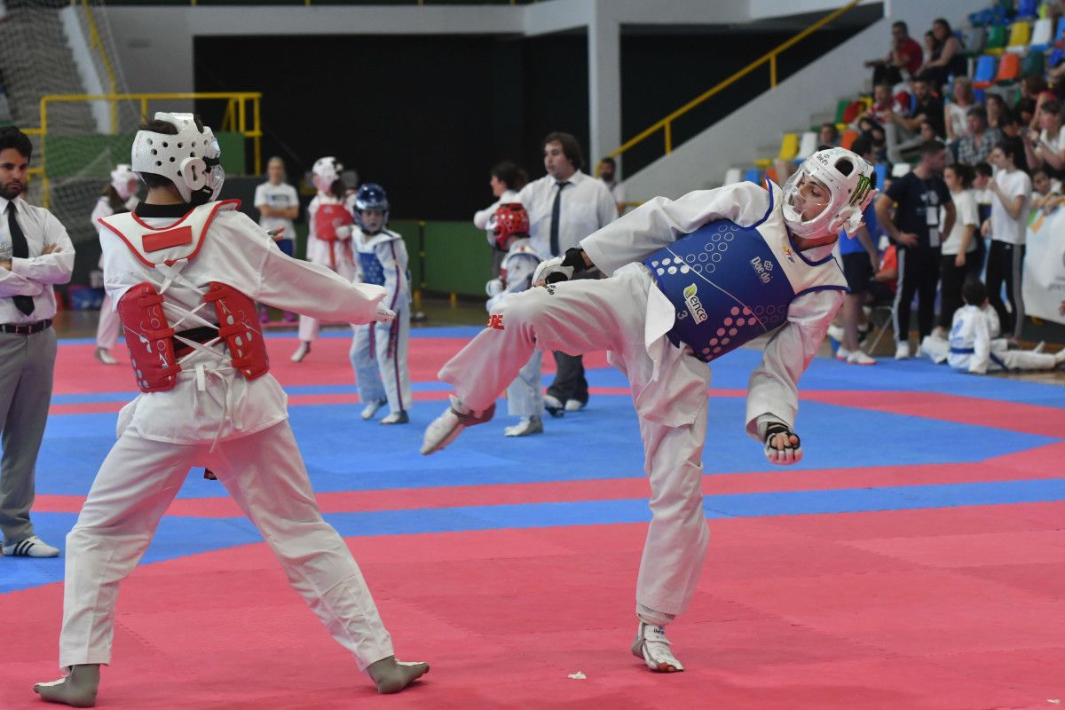 Más de 300 deportistas en el Open de Taekwondo del Príncipe Felipe.