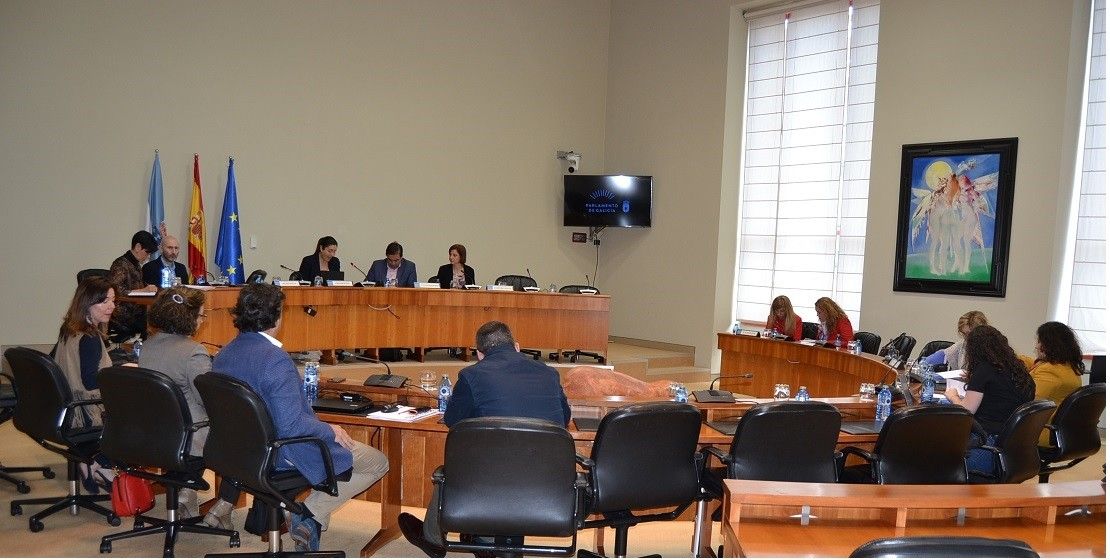 Comisión de Educación y Cultura del Parlamento autonómico